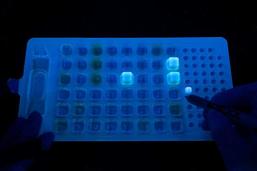 DARK ROOM, for UV reading bacteriological tests