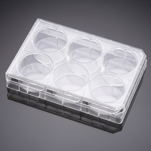 PLATE, CULTURE 6-well, flat-bottom, sterile