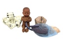 DELIVERY SIMULATOR, complete SET, cloth Pelvic + brown fœtus