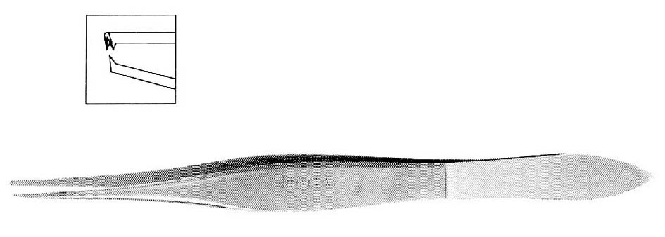 PINCE DE LESTER, à dents, H-3290/M-2280A