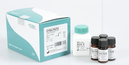 (Erba XL200) CONTROL REAGENT ERBA PATH, 4x5ml BLT00081