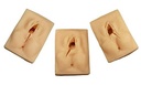 MANNEQUIN, EPISIOTOMY SUTURING SIMULATOR