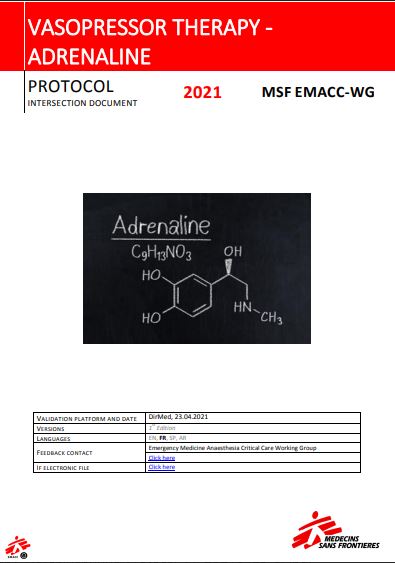 Thérapie par vasopresseurs - Protocole Adrénaline