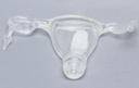 (Pelvis Uterine Trainer 1302-10) UTERUS 1488