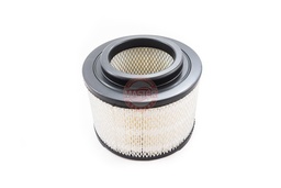 [YTOY17801-0C010] ELEMENT FILTRE A AIR, LH/LAN