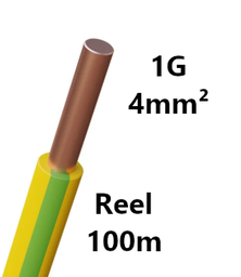[PELECABW04RG1] WIRE rigid, copper, 4mm², green/yellow, reel of 100m