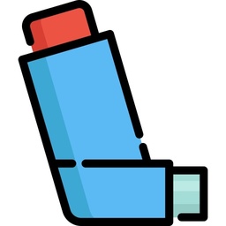 [DORABECL5SF] BECLOMETASONE dipropionate, 50mcg/puff, 200 puffs, inhaler