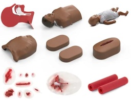 [ETMAEMCS01-] LABORATOIRE D'APPRENTISSAGE DES SOINS D'URGENCE