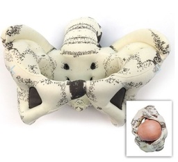 [ETMADELI301] (simulateur d'accouchement) MODÈLE PELVIEN, tissu